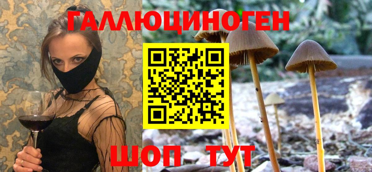 Галлюциногенные грибы Magic Shrooms  Псилоцибиновые грибы мицелий  Зима  магазин  наркотиков  Вход с VPN 