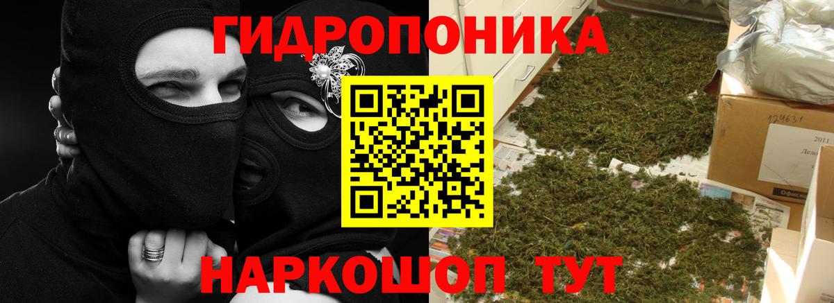 Каннабис OG Kush  Каннабис Amnesia  Вход с VPN  Зима  Конопля LSD WEED 