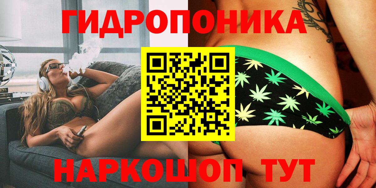 МАРИХУАНА индика Зима
